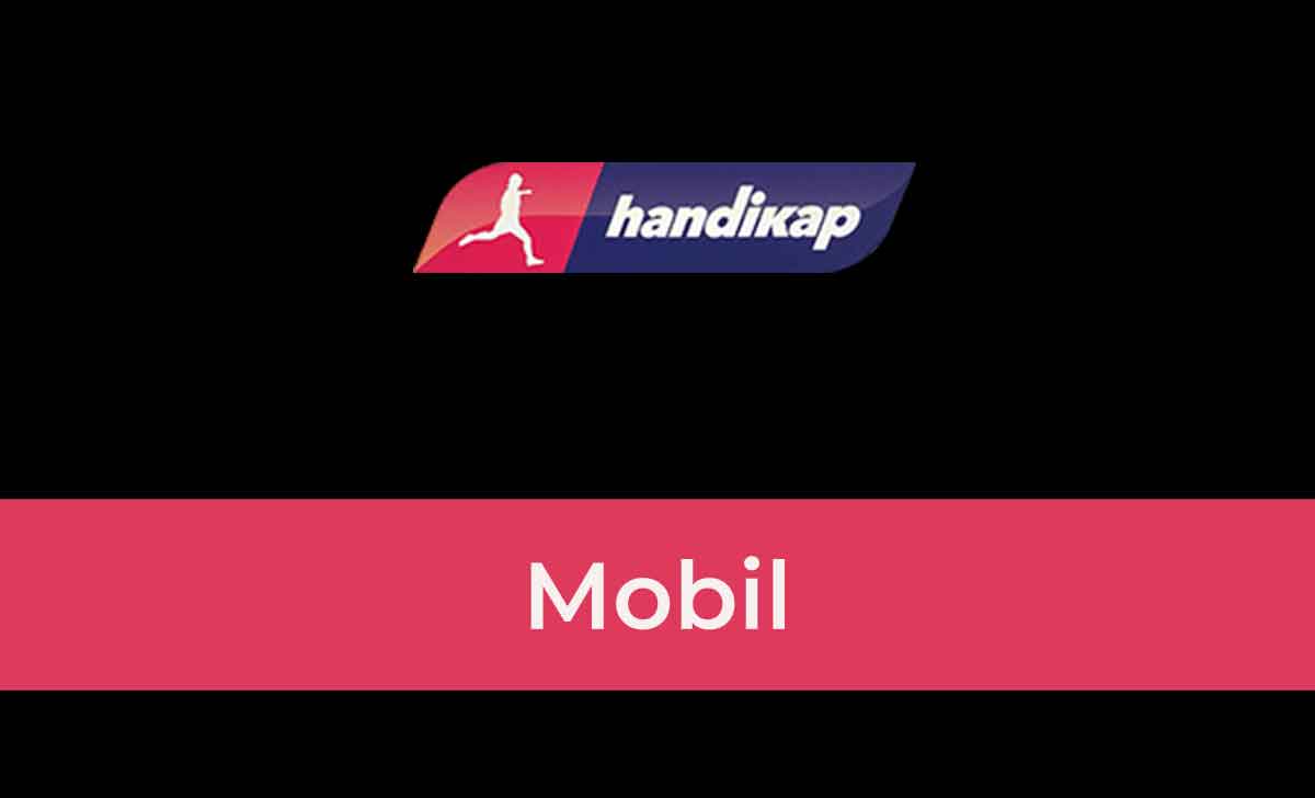 Handikap Mobil