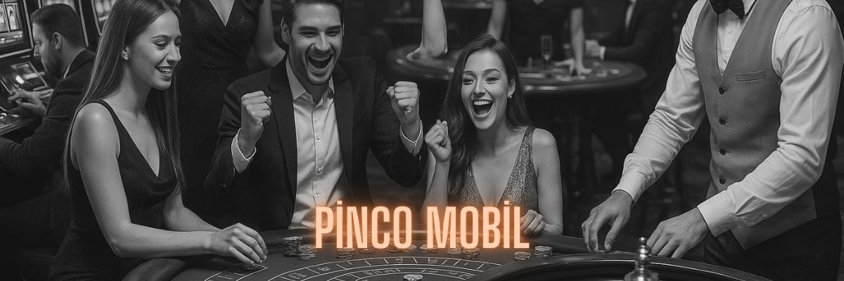 Pinco Mobil